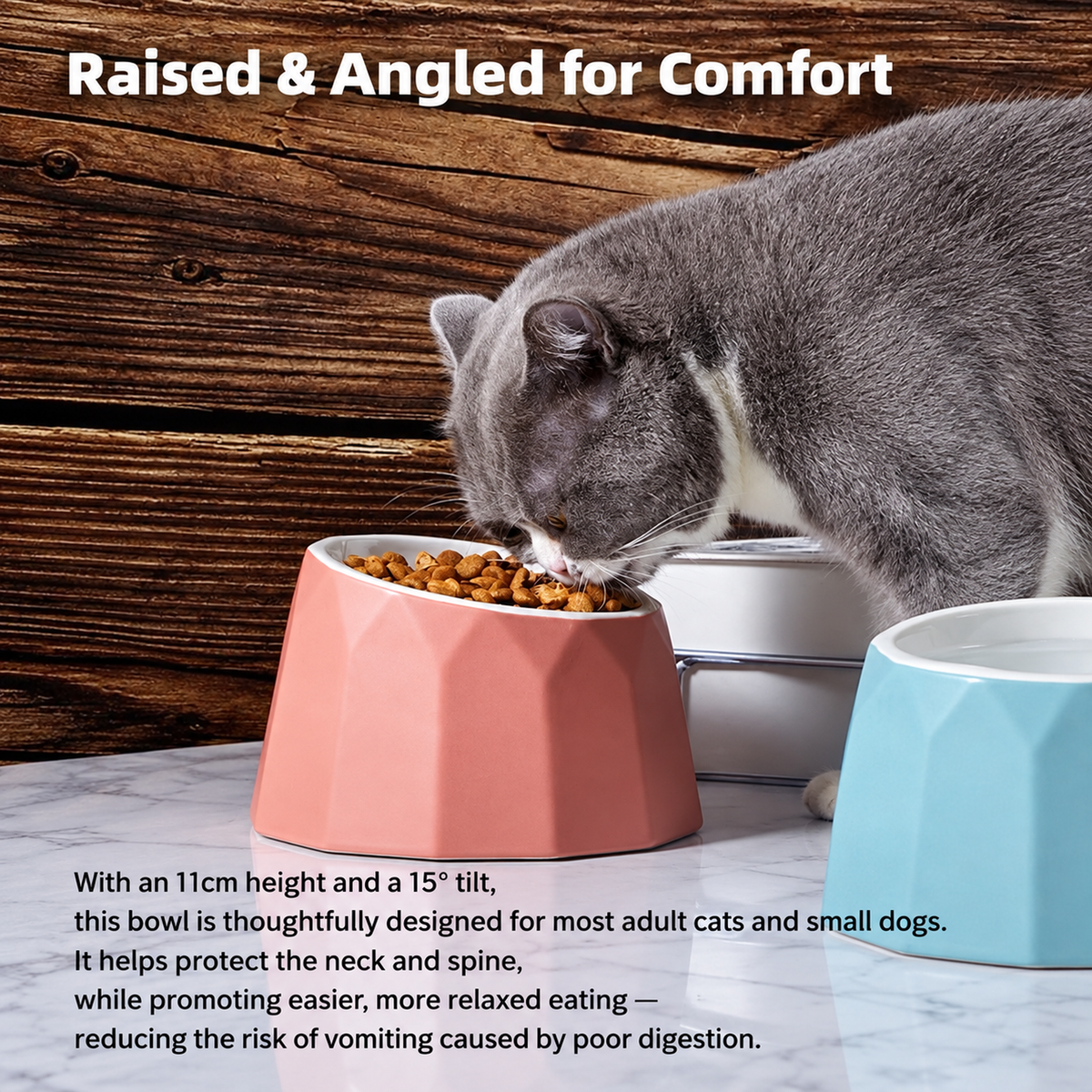 Volcano Dual-Tone Ceramic Pet Bowl | detail correction 3 | TEXT_LAYOUT_REBUILD | collection 20260919