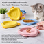 Colorful Ceramic Fish-Shaped Pet Plates | detail correction 4 | TEXT_LAYOUT_REBUILD | collection 20260919