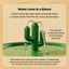 Vetericyn Cactus Pet Automatic Water Fountain | detail correction 4 | TEXT_LAYOUT_REBUILD | collection 20260919