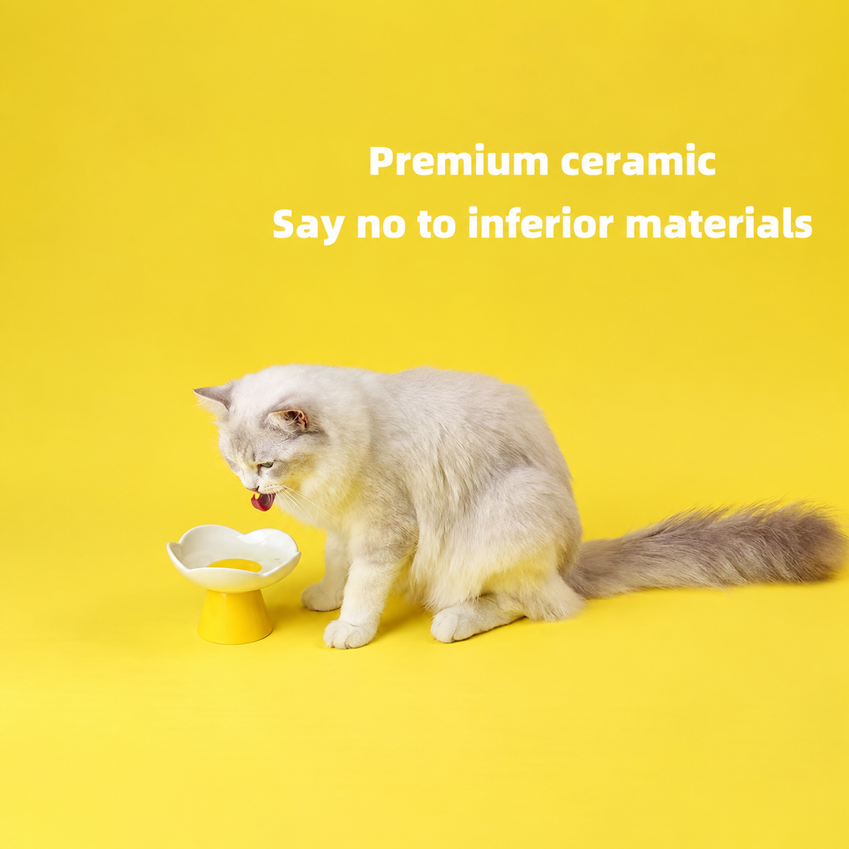 Blooming Flower Ceramic Pet Bowl | detail correction 4 | TEXT_LAYOUT_REBUILD | collection 20260919