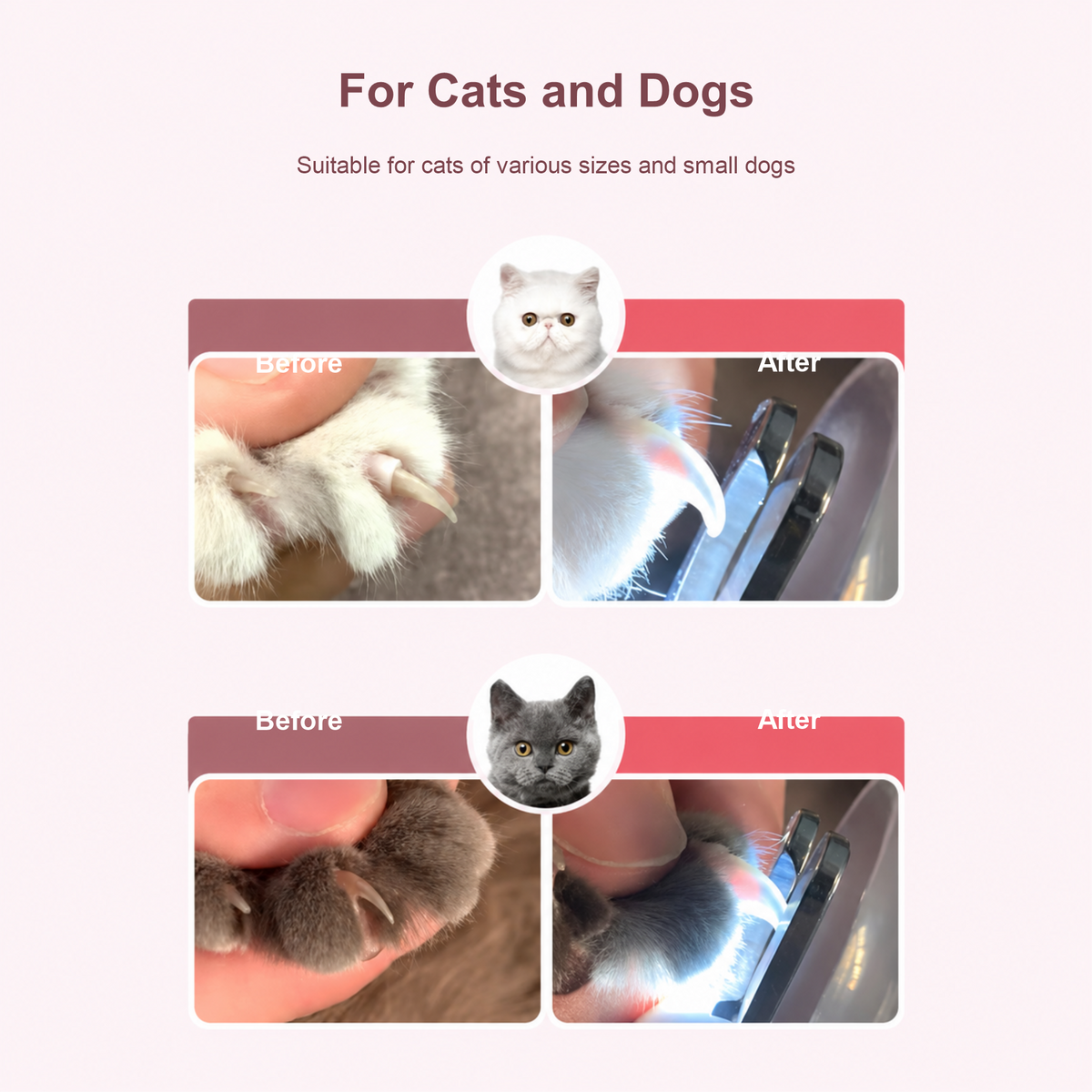 Pakeway LED pet nail clipper cat and dog use comparison