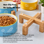 Color-Glazed Ceramic Bowl with Bamboo Stand | detail correction 5 | TEXT_LAYOUT_REBUILD | collection 20260919