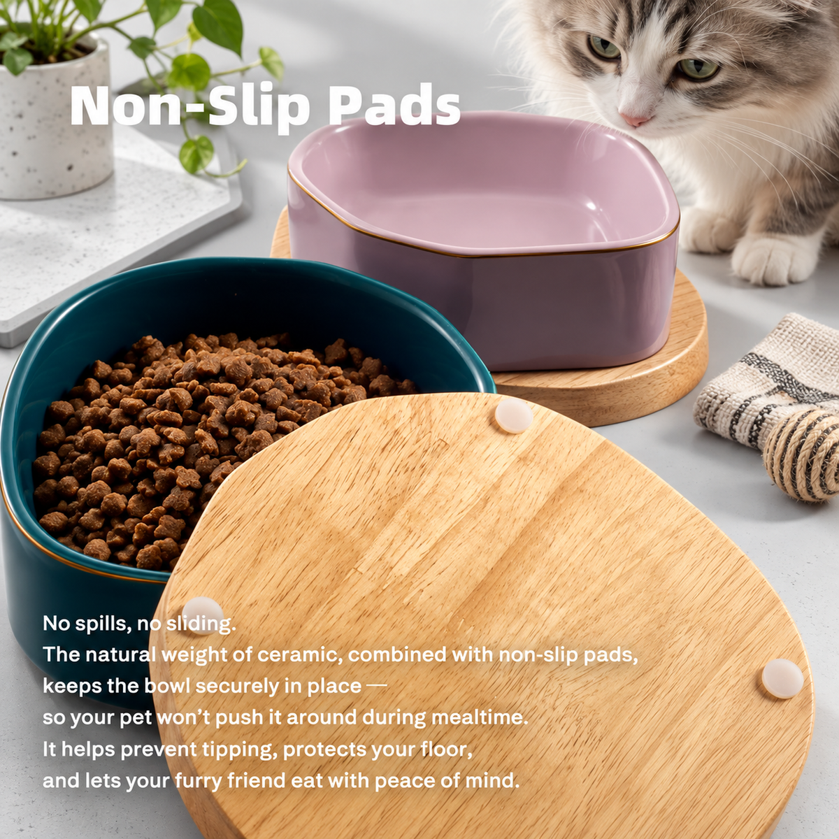Elegant Ceramic Pet Bowl with Oak Base | detail correction 5 | TEXT_LAYOUT_REBUILD | collection 20260919
