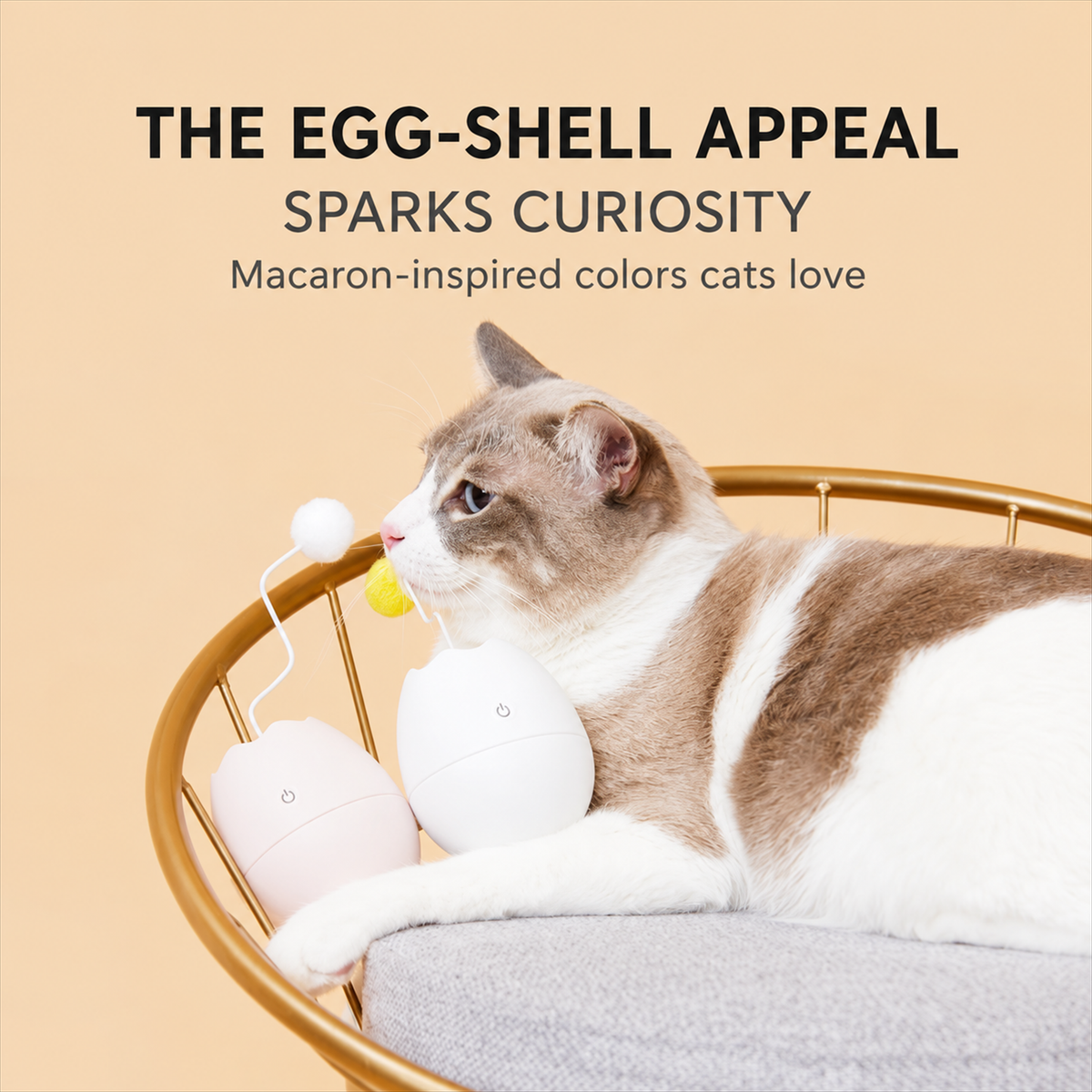 Egg-Shell Automatic Cat Toy - English detail module 5