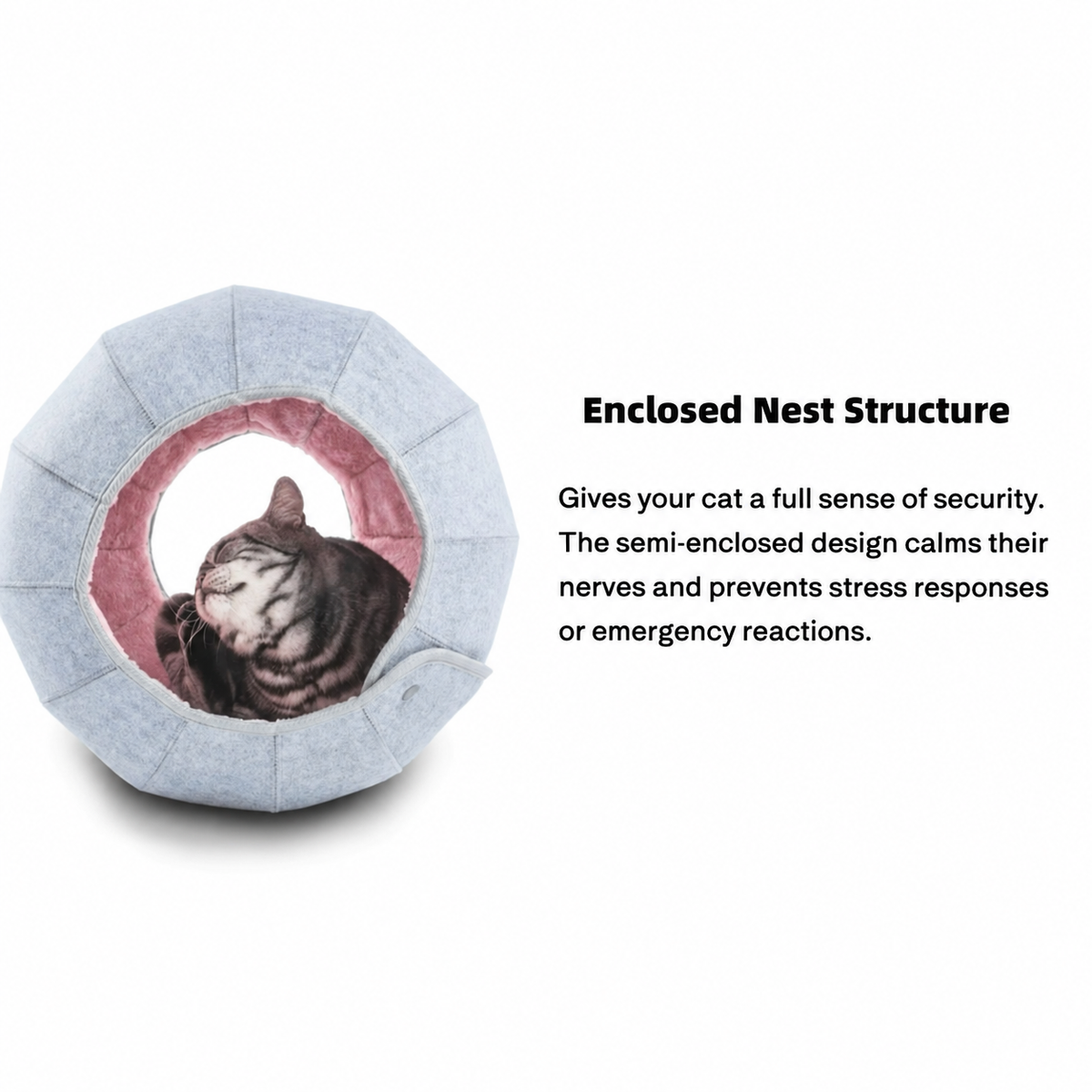 K.1 D.Ball Cat Bed enclosed nest, English square revision [Gallery: Detail][Revision of source 06]