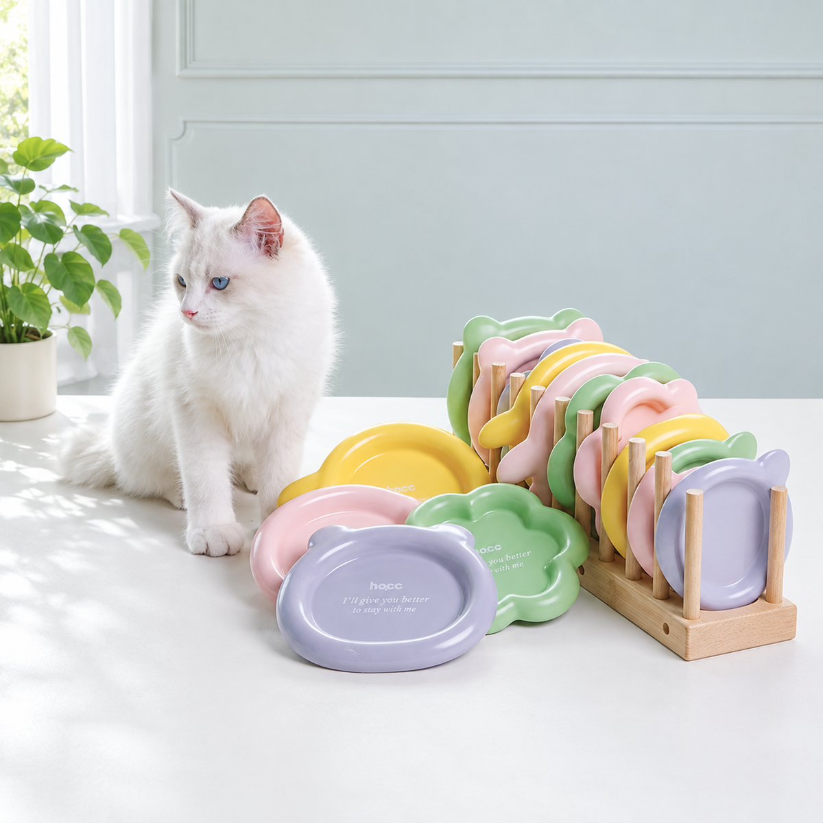 Colorful Ceramic Pet Plates | detail correction 6 | FULL_FRAME_OUTPAINT | collection 20260919