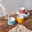Volcano Dual-Tone Ceramic Pet Bowl | detail correction 6 | FULL_FRAME_OUTPAINT | collection 20260919