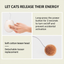 Egg-Shell Automatic Cat Toy - English detail module 6
