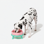 VETRESKA Ceramic Raised Pet Bowl Elevated Pet Food Water Bowl Stand Pink Pet Feeding Dish | detail correction 7 | FULL_FRAME_OUTPAINT | collection 20260919