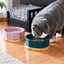 Elegant Ceramic Pet Bowl with Oak Base | detail correction 7 | FULL_FRAME_OUTPAINT | collection 20260919