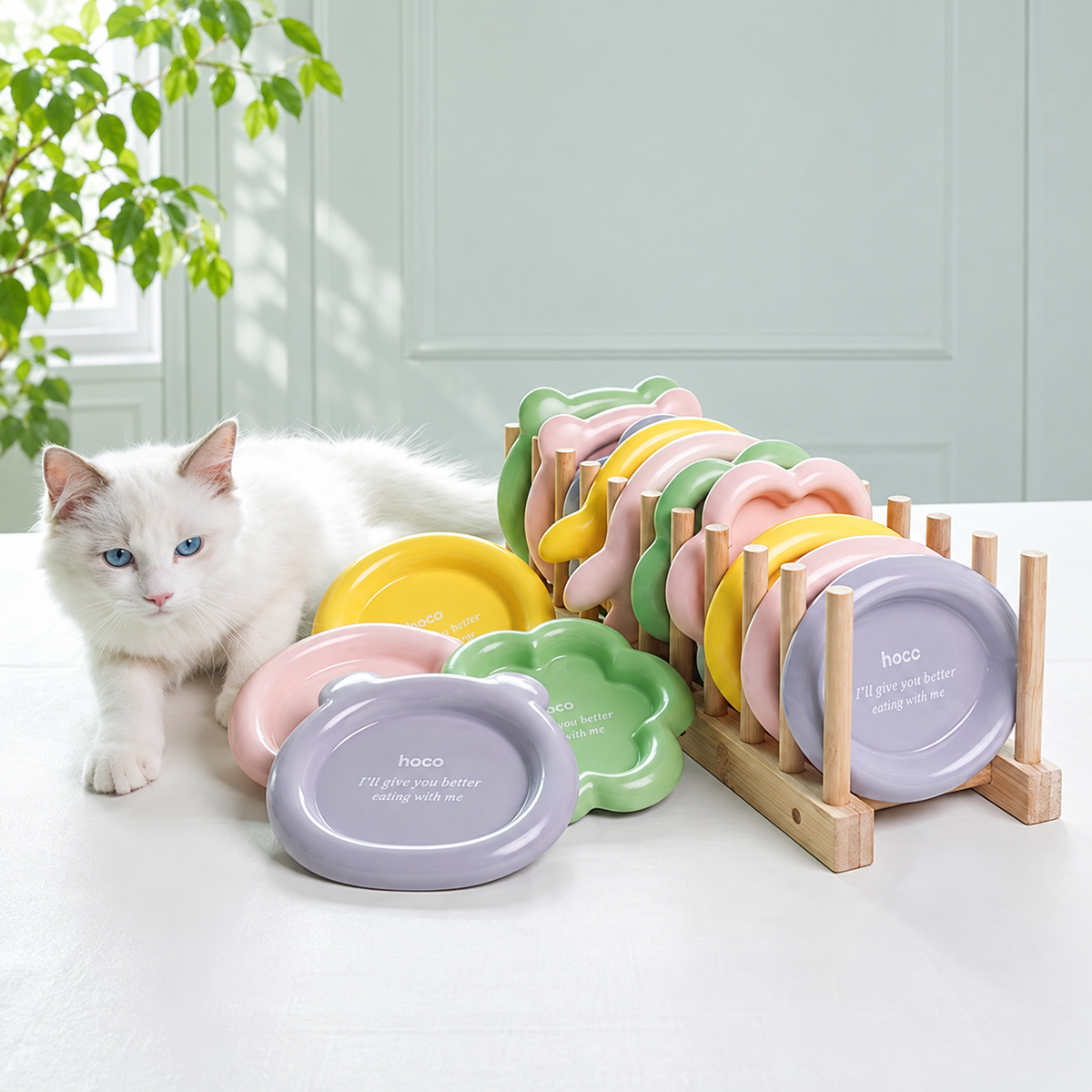 Colorful Ceramic Pet Plates | detail correction 7 | FULL_FRAME_OUTPAINT | collection 20260919