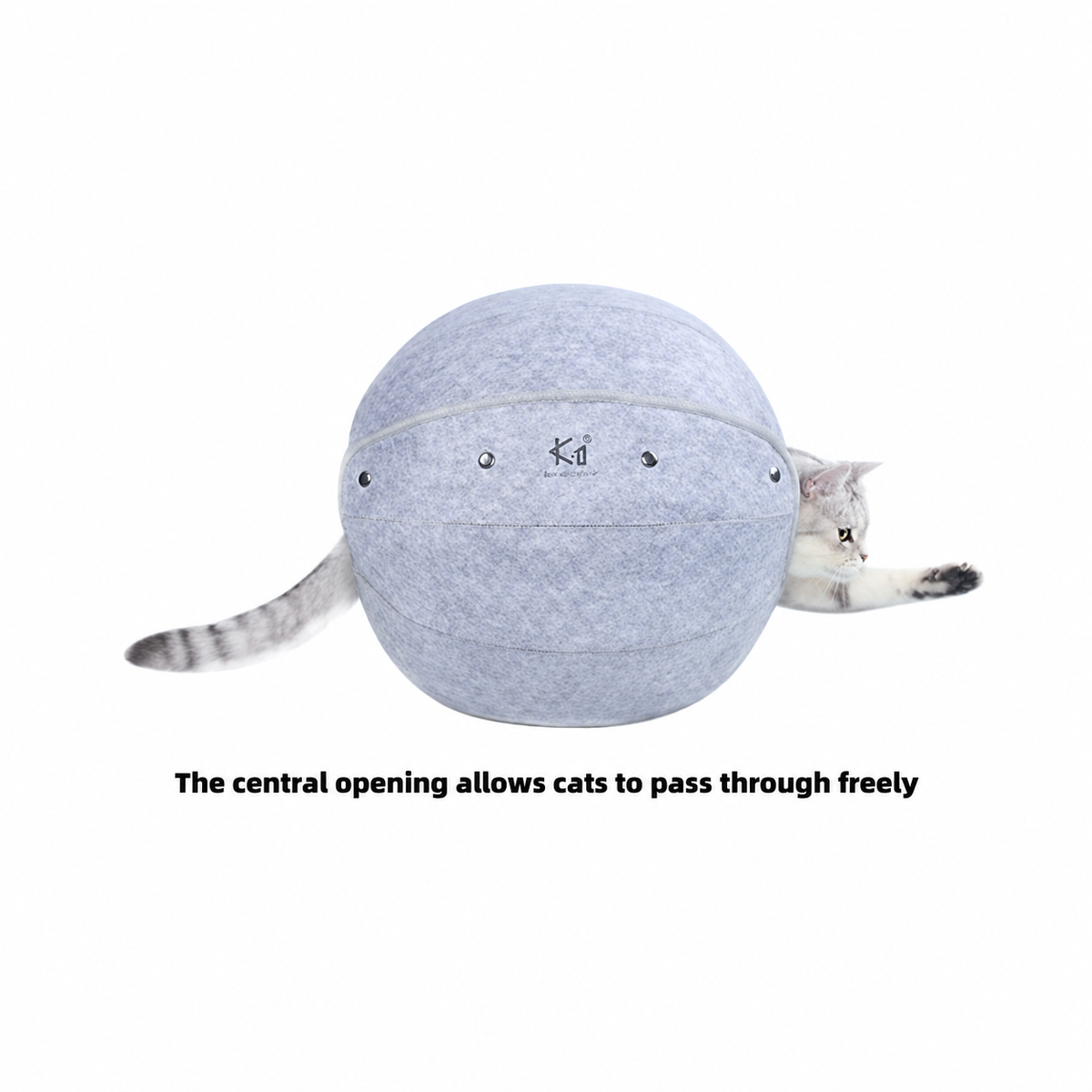K.1 D.Ball Cat Bed central opening, English square revision [Gallery: Detail][Revision of source 08]