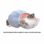 K.1 D.Ball Cat Bed diagonal buttons, English square revision [Gallery: Detail][Revision of source 08]
