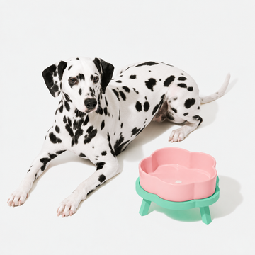 VETRESKA Ceramic Raised Pet Bowl Elevated Pet Food Water Bowl Stand Pink Pet Feeding Dish | detail correction 8 | FULL_FRAME_OUTPAINT | collection 20260919