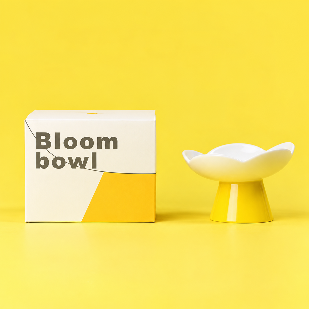 Blooming Flower Ceramic Pet Bowl | detail correction 8 | TEXT_LAYOUT_REBUILD | collection 20260919