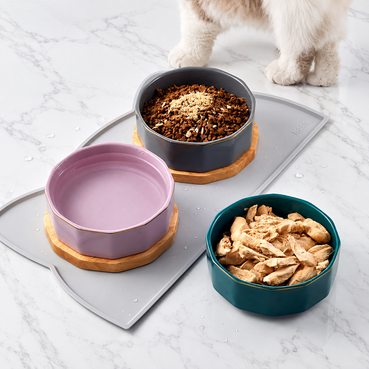 Elegant Ceramic Pet Bowl with Oak Base | detail correction 8 | FULL_FRAME_OUTPAINT | collection 20260919