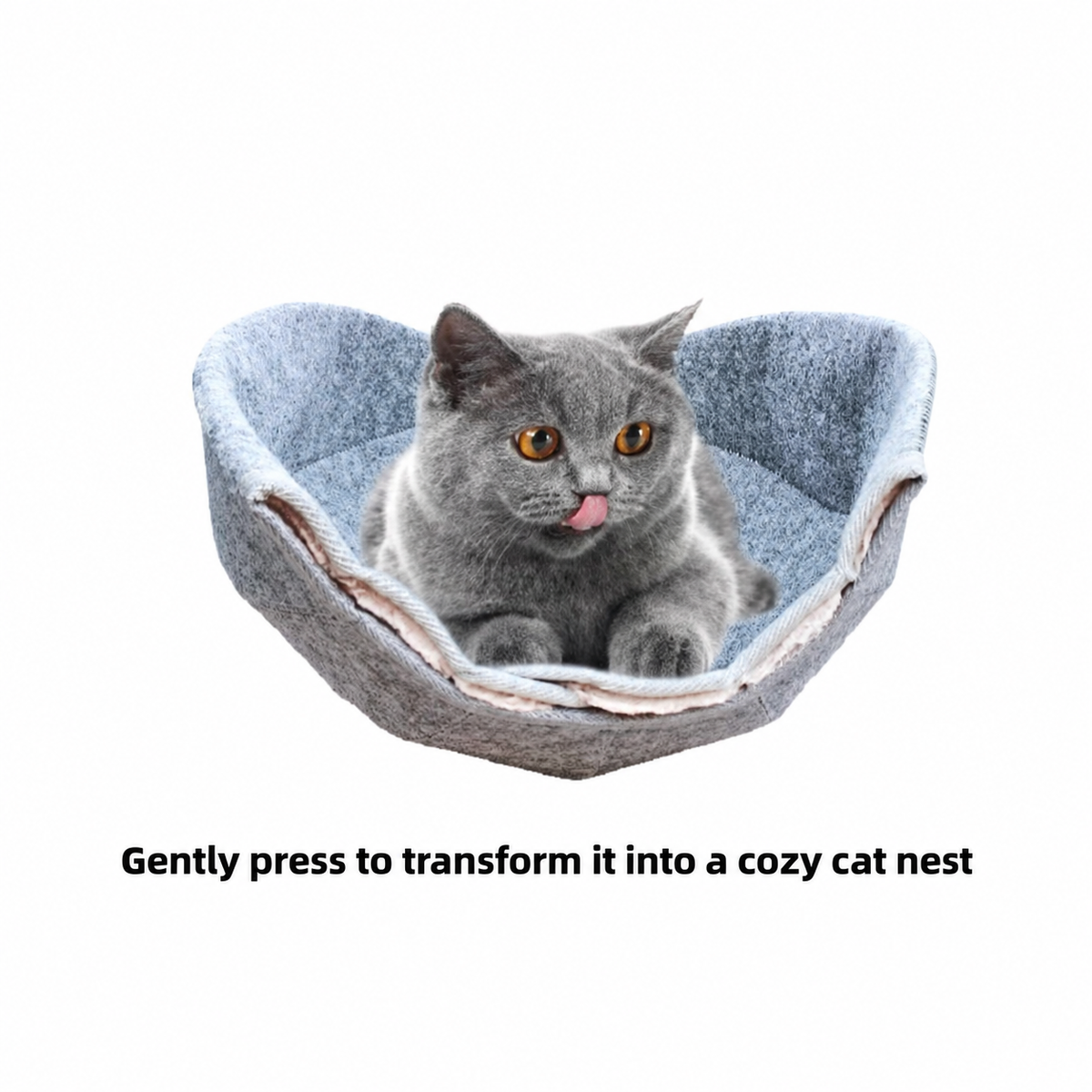 K.1 D.Ball Cat Bed transformable bed, English square revision [Gallery: Detail][Revision of source 09]