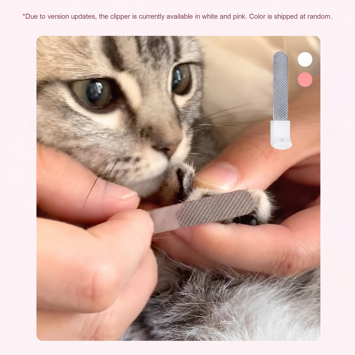 Pakeway pet nail filing use with a cat