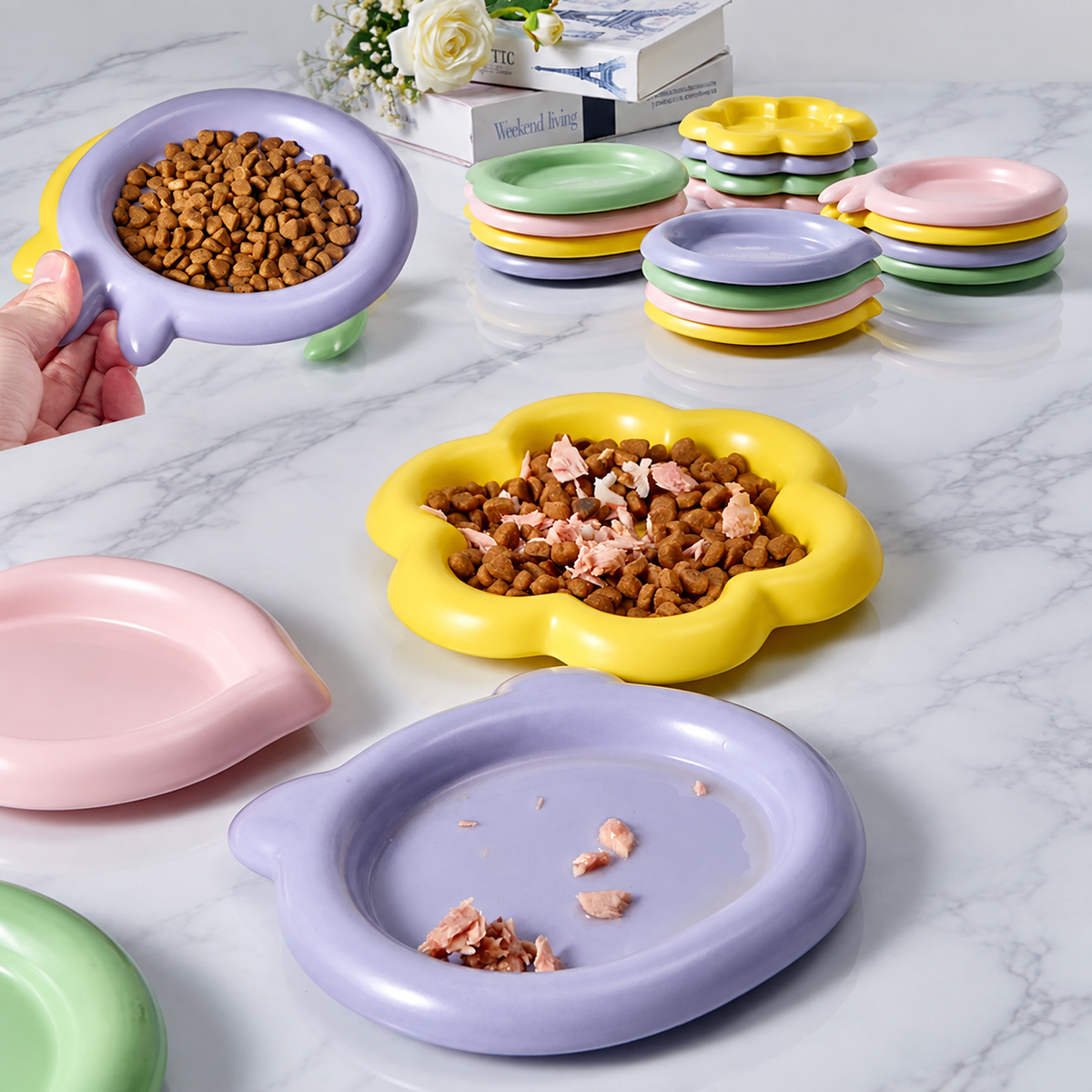 Colorful Ceramic Pet Plates | detail correction 10 | FULL_FRAME_OUTPAINT | collection 20260919