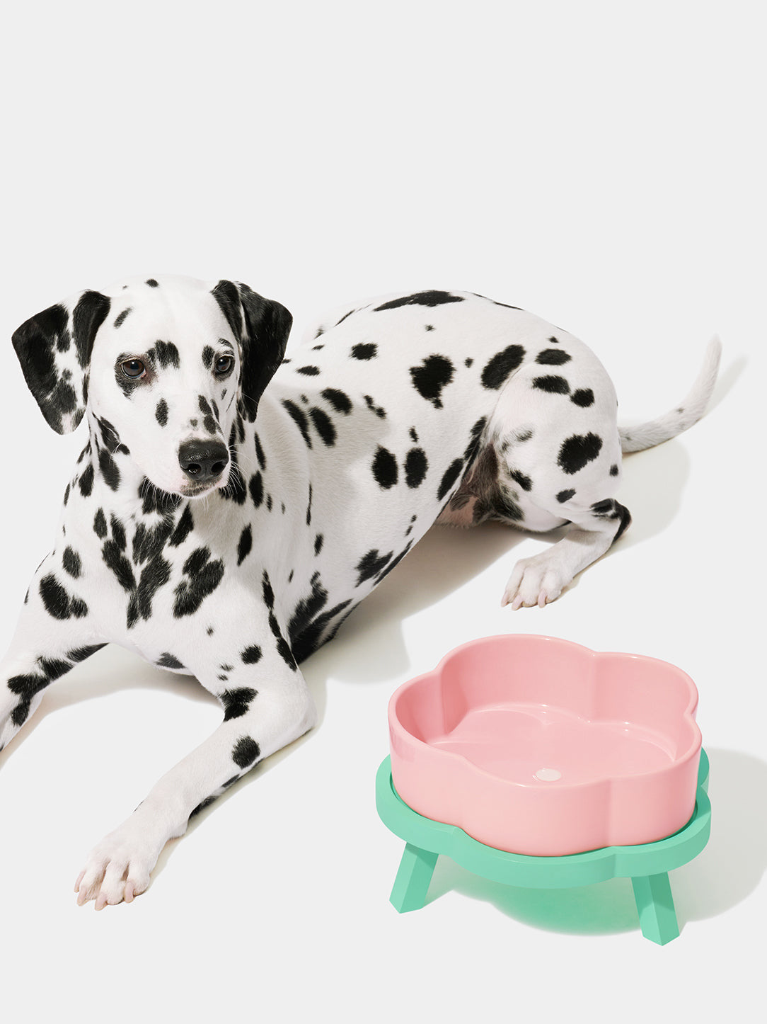 VETRESKA Ceramic Raised Pet Bowl Elevated Pet Food Water Bowl Stand Pink Pet Feeding Dish
