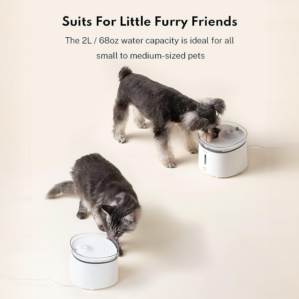 Homerunpet Cat Water Fountain - For Small to Medium Pets detail | effective outpaint v2
