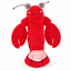 Fofos red interactive shrimp cat toy white background