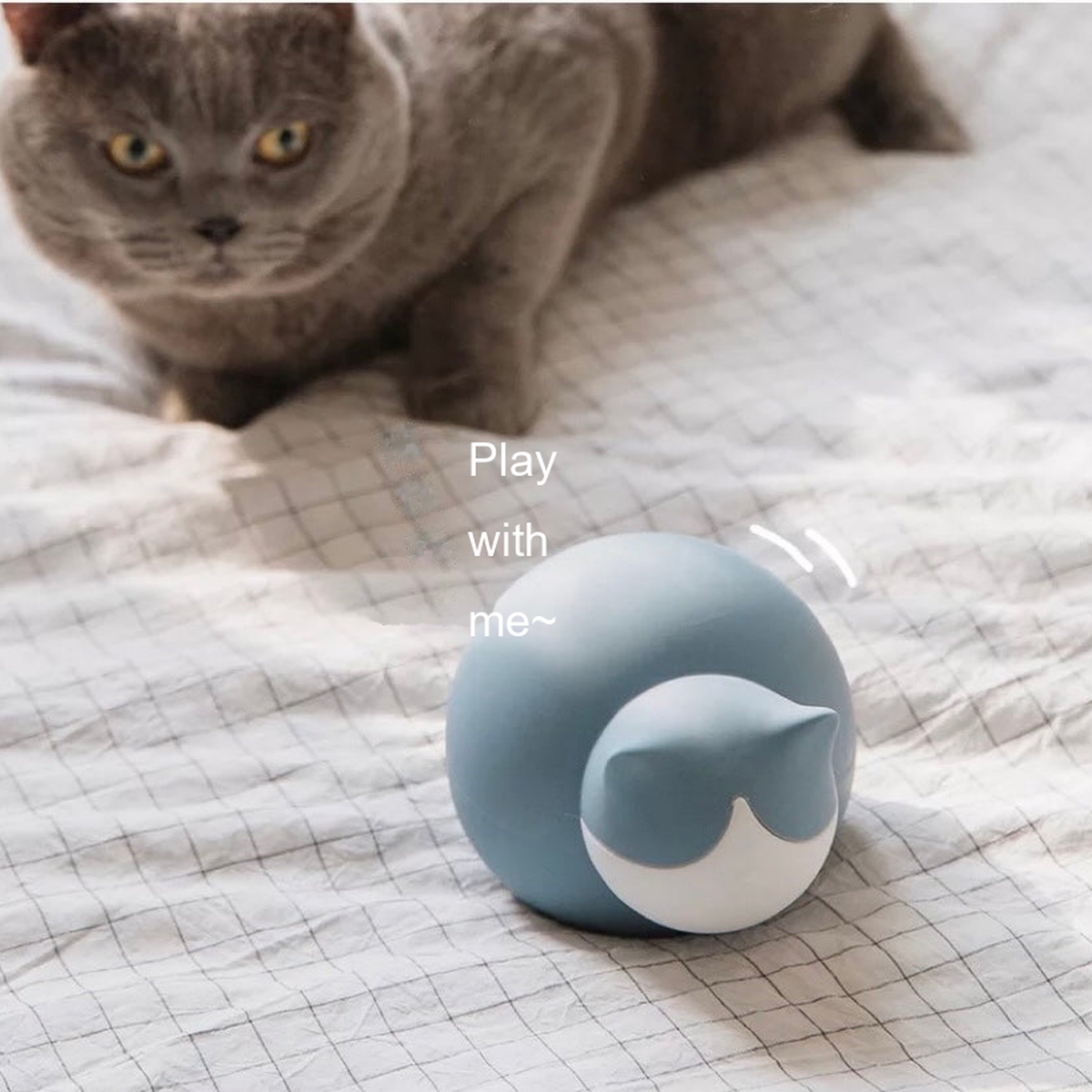 SOURCE REVISION | LOP cat-shaped hot and cold water bag | source-07 | English layout revision v1