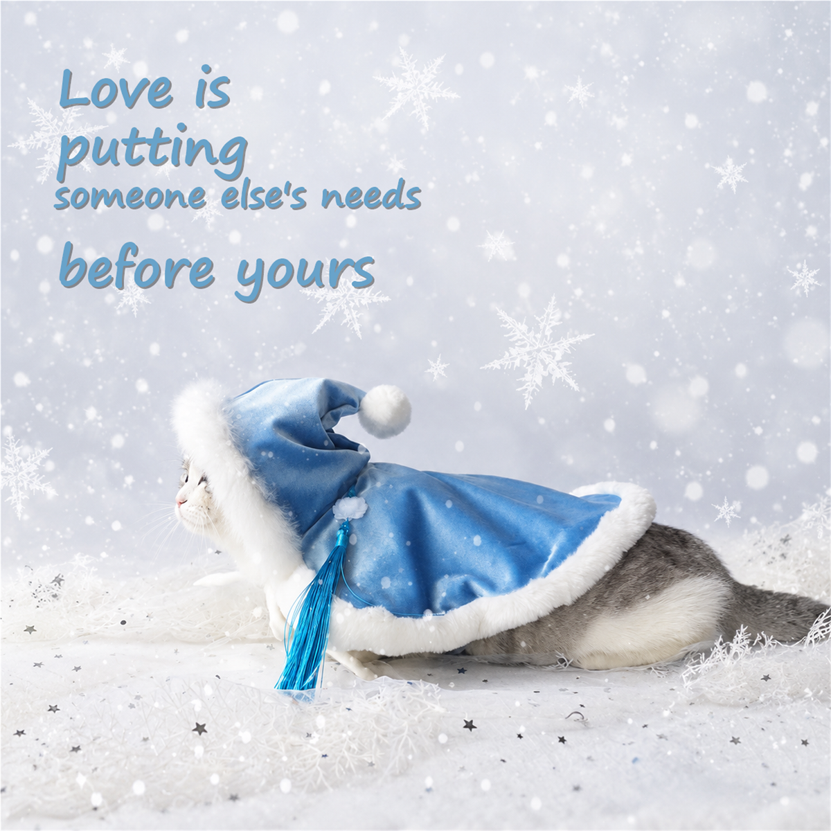 Cat wearing a blue warm fleece cape with hood on snowy ground