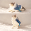 Cats wearing ice blue and white fleece capes
