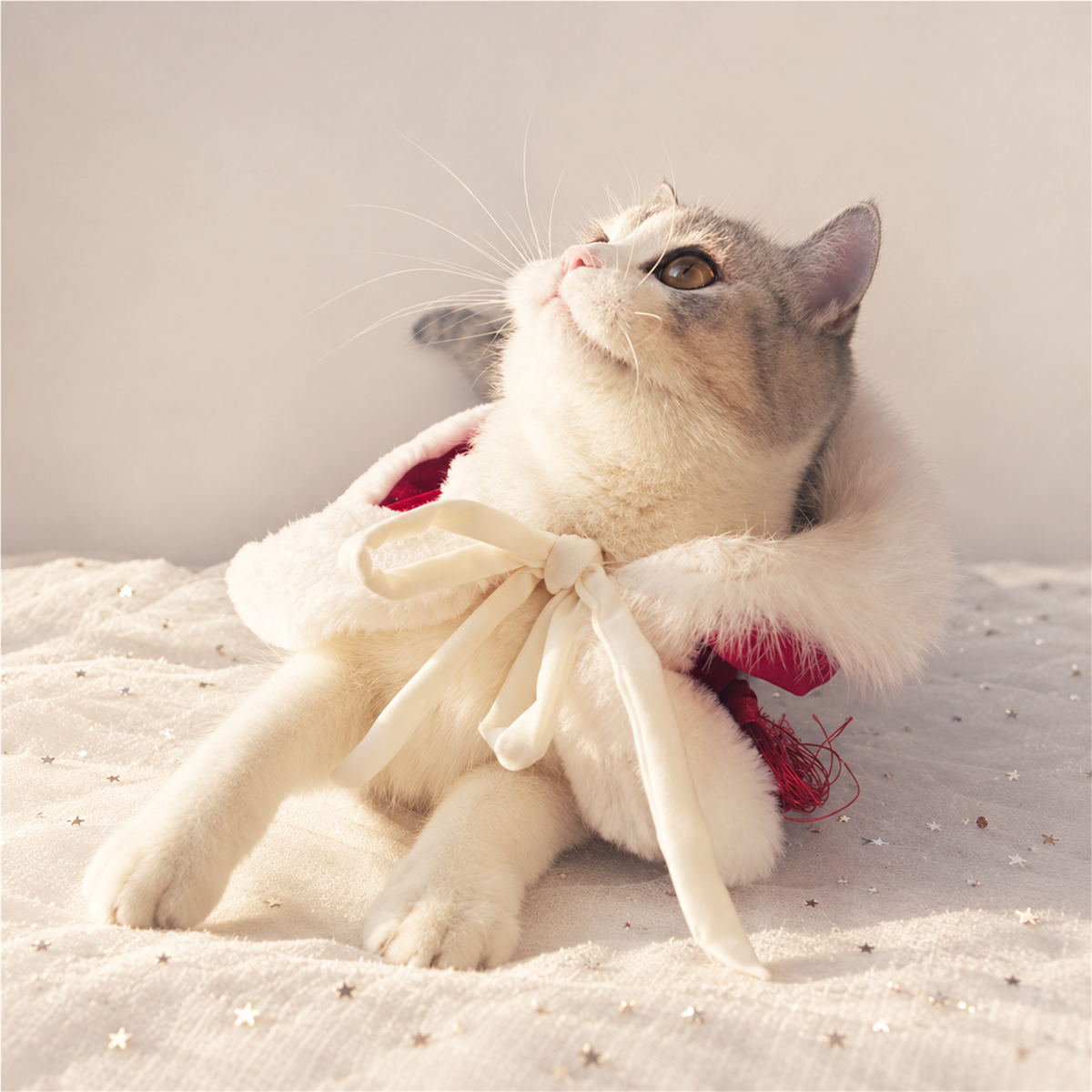 Cat wearing a Christmas red fleece cape with hood