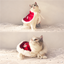 Cats wearing a Christmas red fleece cape in different poses
