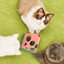 FOFOS Magic Watermelon interactive cat toy - real cat usage scene