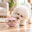 AIWO UFO wobble treat dispensing puzzle toy dog usage scene in a home setting