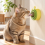 Catnip lick toy for cats - cat using wall-mounted lick toy