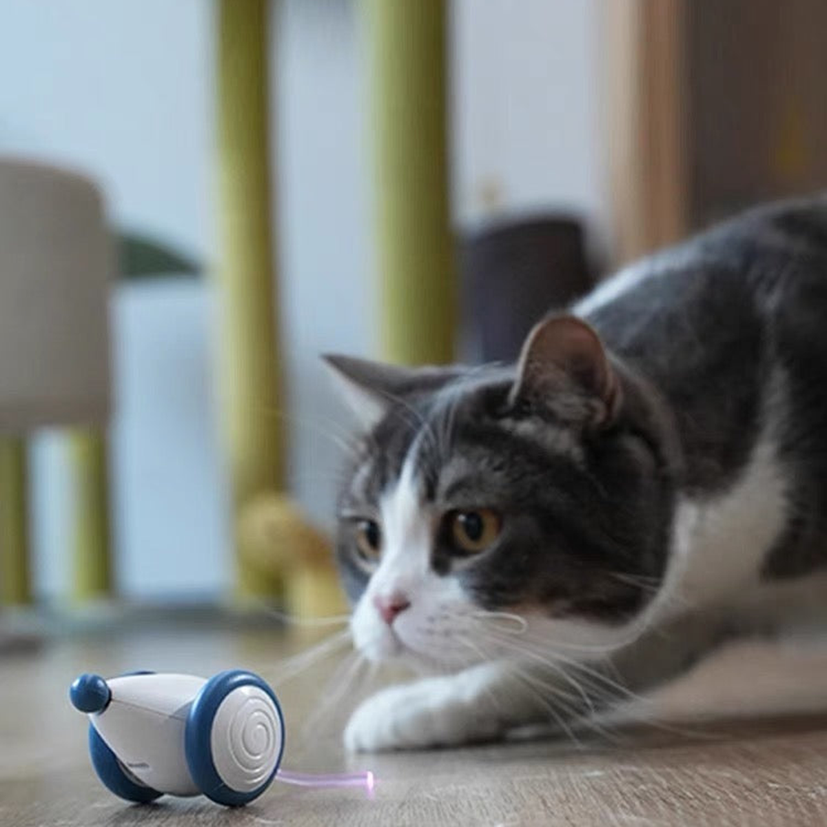 Destiny Pet interactive cat mouse toy - English translated detail image showing cat watching a blue interactive mouse toy