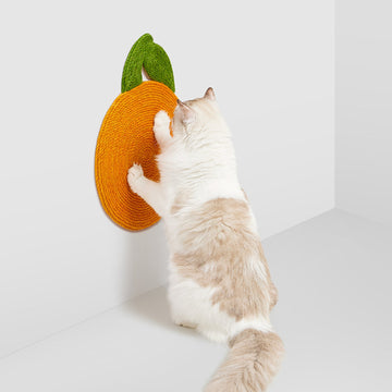 REVISED | Vetreska Tangerine Cat Scratching Board gallery revision 01 [Gallery: Comparison]