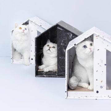REVISED | Furrytail Little House Cat Scratcher gallery revision 01 [Gallery: Comparison]