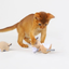 Catnip paper mouse toy - cat play lifestyle scene