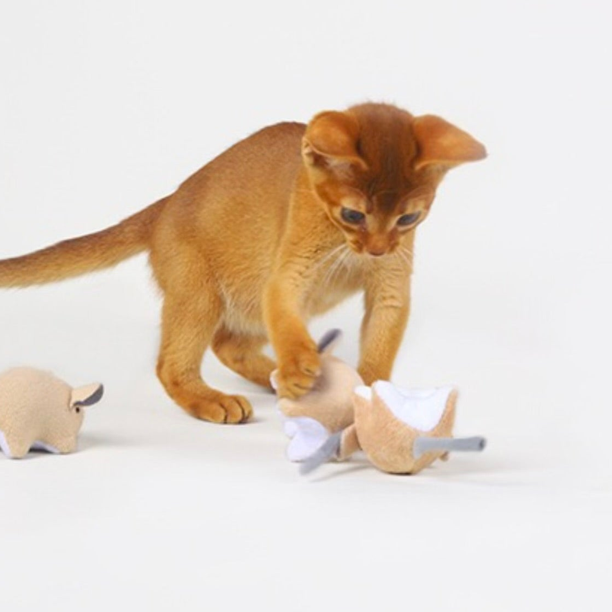 Catnip paper mouse toy - cat play lifestyle scene