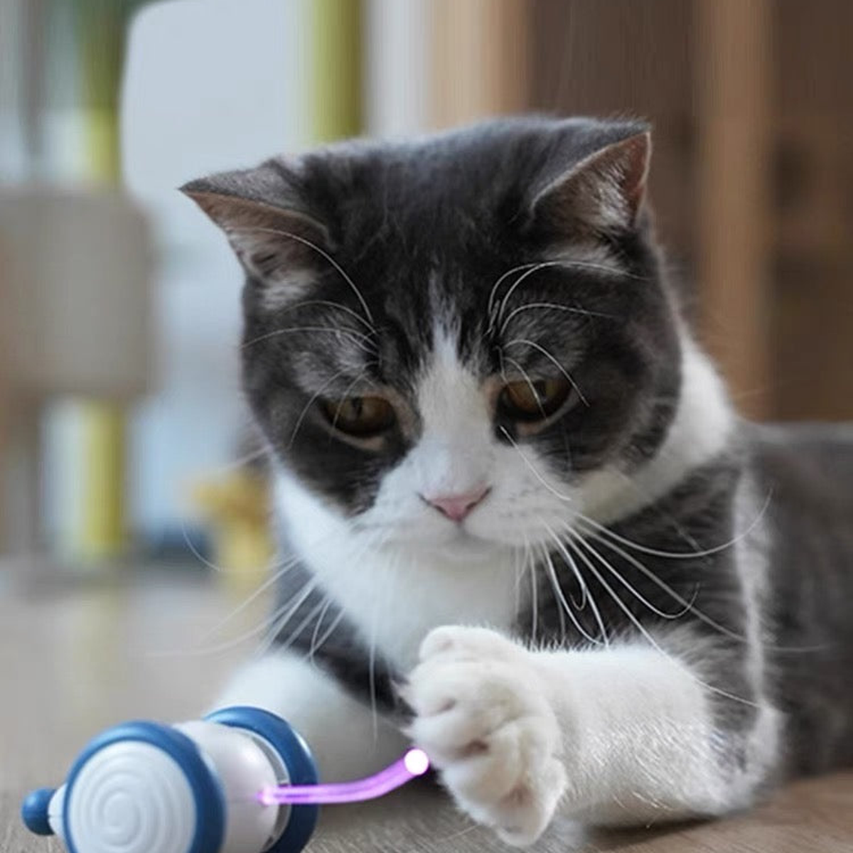 Destiny Pet interactive cat mouse toy - English translated detail image showing cat pawing at a blue interactive mouse toy