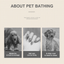 Pet bathing and grooming problem overview with three source photo panels
