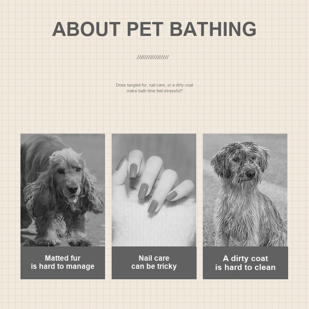 Pet bathing and grooming problem overview with three source photo panels