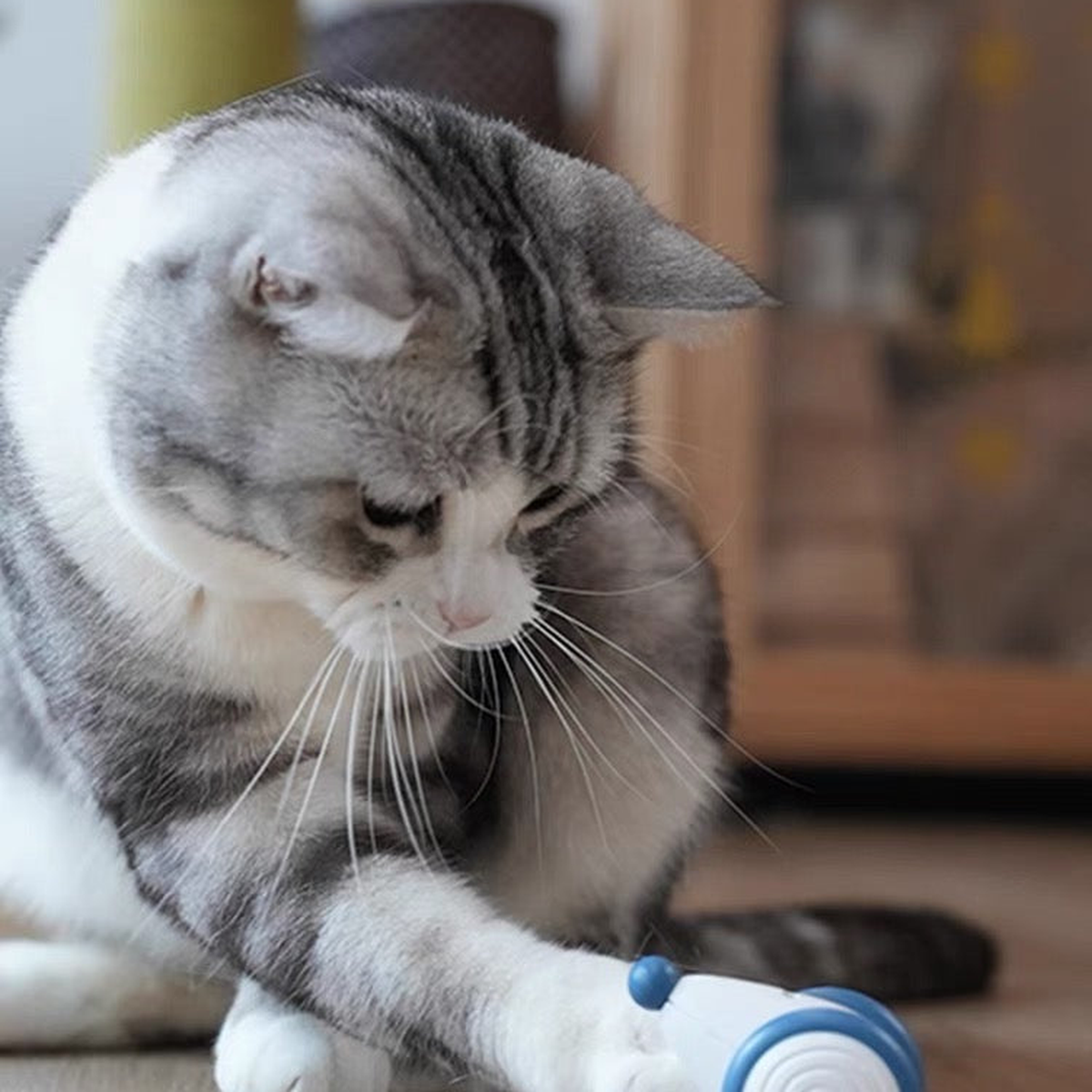 Destiny Pet interactive cat mouse toy - English translated detail image showing cat playing with a blue interactive mouse toy