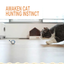 Destiny Pet interactive cat mouse toy - English translated detail image showing cat approaching an interactive mouse toy on the floor