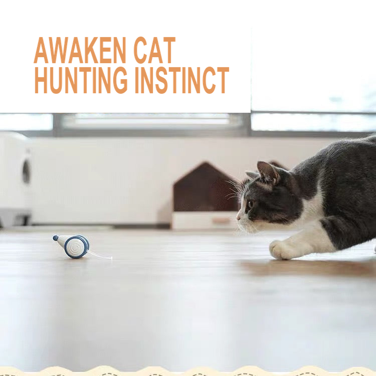Destiny Pet interactive cat mouse toy - English translated detail image showing cat approaching an interactive mouse toy on the floor