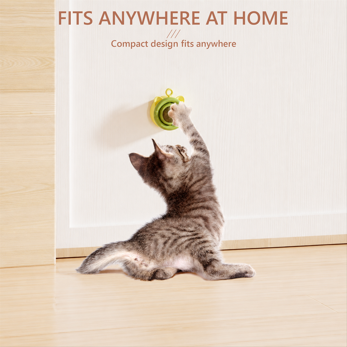 Catnip lick toy for cats - cat reaching for wall-mounted toy