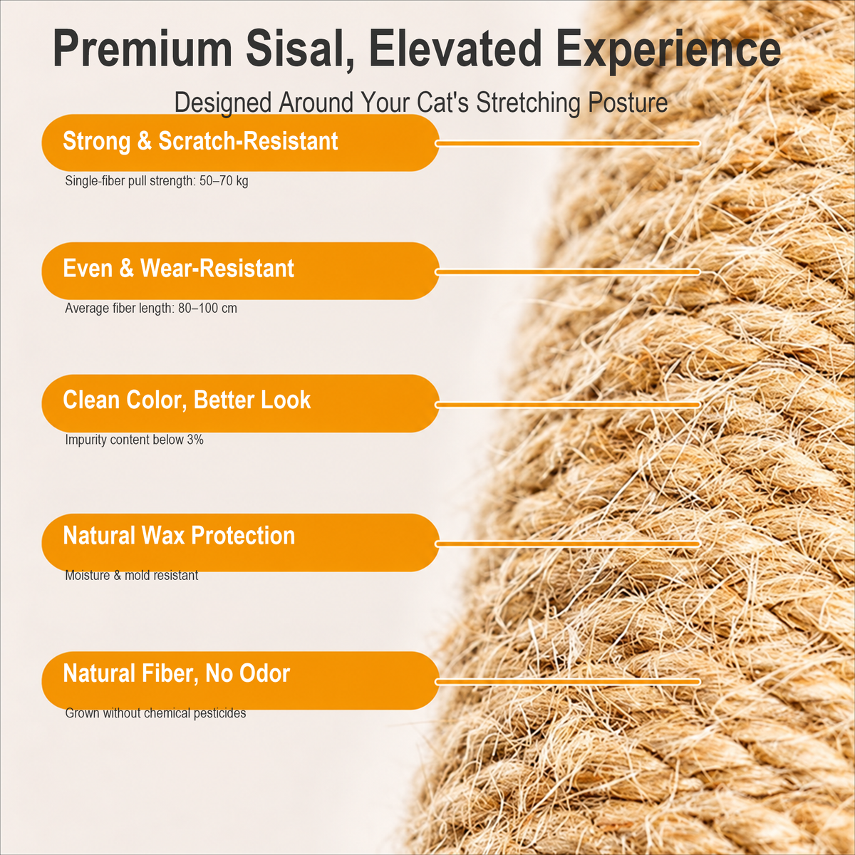 Cat scratching mat with textured sisal surface for scratching and stretching