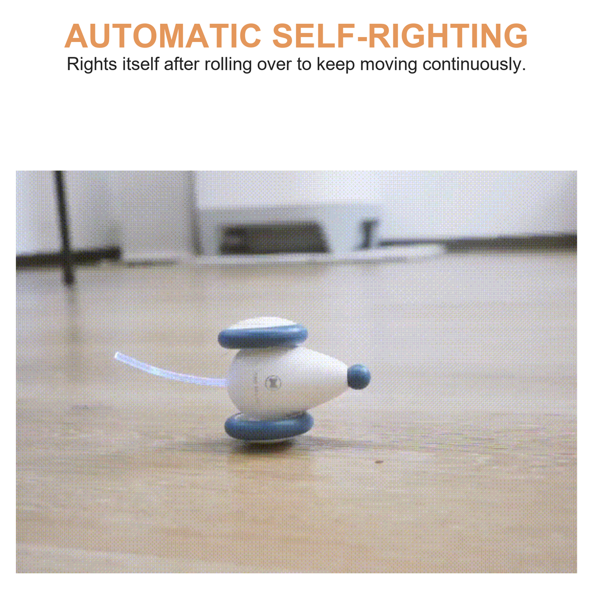 Destiny Pet interactive cat mouse toy - English translated detail image showing interactive mouse toy self-righting during play