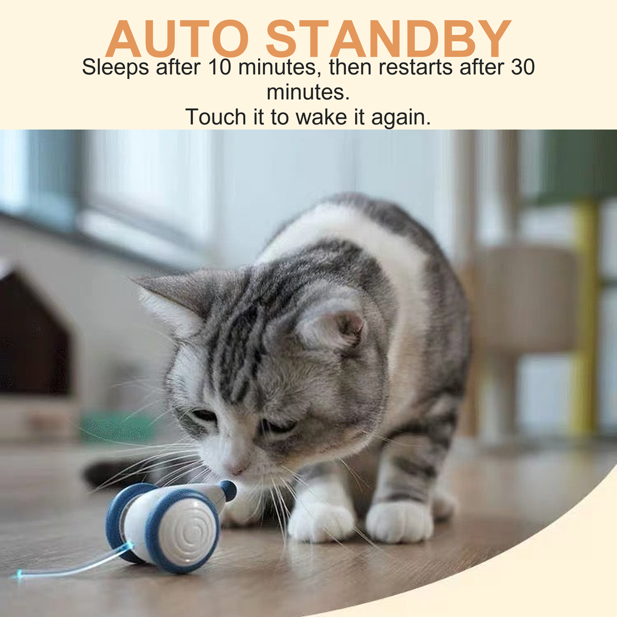 Destiny Pet interactive cat mouse toy - English translated detail image showing interactive mouse toy with automatic standby and cat play