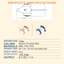 Destiny Pet interactive cat mouse toy - English translated detail image showing interactive mouse toy size and specification diagram